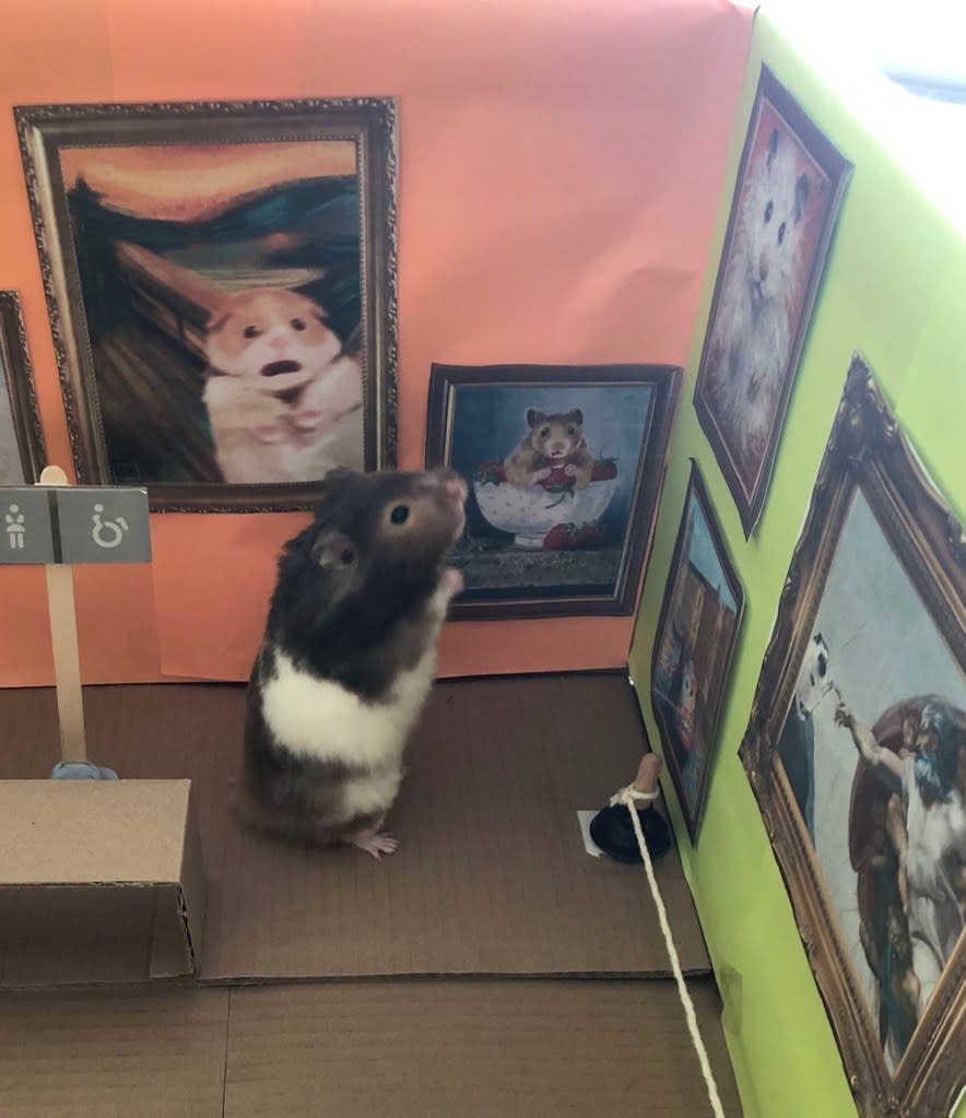 Lisa Murray-Lang brought Spud’s ashes to the real Van Gogh museum in Amsterdam, but the hamster had his own version where he was the muse. Lisa Murray-Lang / SWNS.COM