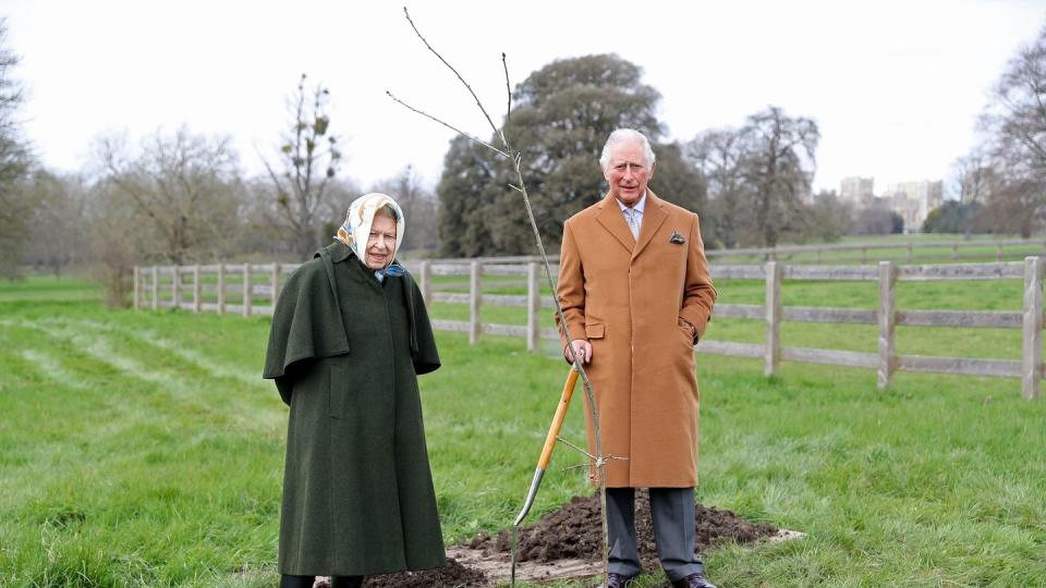 Königin Elizabeth und ihr Sohn Prinz Charles pflanzten auf dem Gelände von Schloss Windsor den ersten Jubiläumsbaum ein.