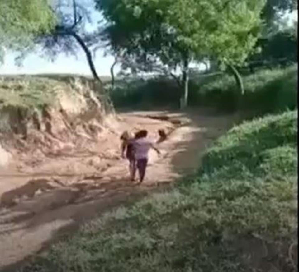 Purported video shows fishermen in Uttar Pradesh, India, carrying a river dolphin (Screengrab/ India Today)