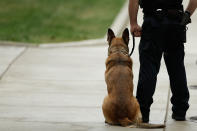 <p>A law enforcement officer and K-9 stand outside the Montgomery County Courthouse during Bill Cosby’s sexual assault trial, Saturday, June 17, 2017, in Norristown, Pa. (AP Photo/Matt Slocum) </p>