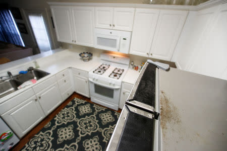 Mold is shown on the top of a refrigerator inside the on-base home from which mold-infestation forced a military family to move in the Del Mar housing district at Camp Pendleton, California, U.S. September 26, 2018. REUTERS/Mike Blake