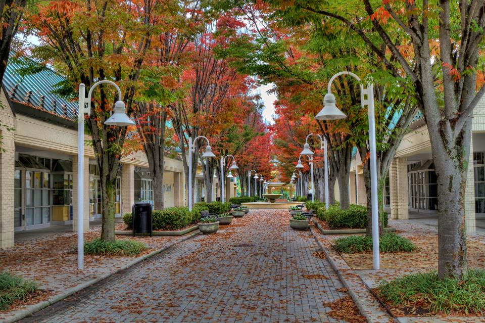 Fall Colors in Columbia, Maryland.