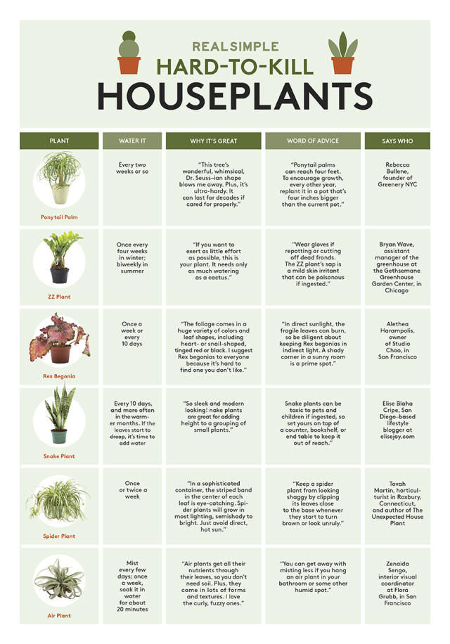 House and Indoor Plants Temperature Guide