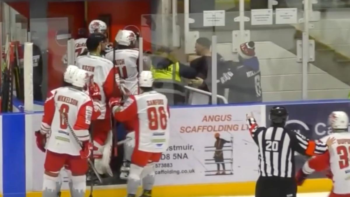 hockey player fights fan in penalty box