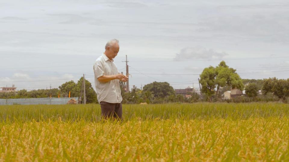 吳晟的紀錄片《他還年輕》由導演林靖傑執導筒，是作家欽點。（目宿媒體提供）