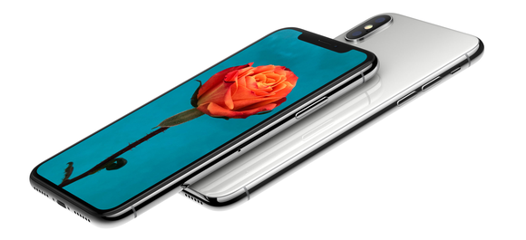 Side view of iPhone X with a flower on the display