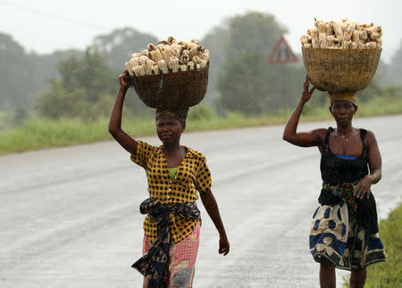 Women carry maize retrieved from fields flooded in the aftermath of Cyclone Kenneth, along the Mieze river near Pemba, Mozambique, April 30, 2019. REUTERS/Mike Hutchings