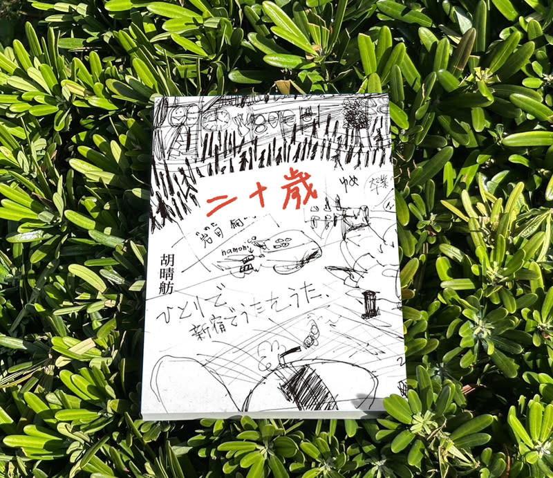 胡晴舫出版小說「二十歲」 作家胡晴舫近期出版小說「二十歲」，故事串連一群 二十歲的人，直擊人性對名利、階級、慾望的追求， 不斷挑出成長過程中每個痛苦的結點。 （麥田出版提供） 中央社記者邱祖胤傳真  113年6月24日 