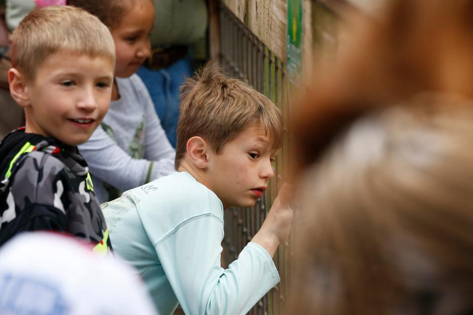 FILE - Kids watch as staff at Bear Hollow Zoo release the zoo's three black bears into their enclosure during the "Bears' Bee-Day" birthday celebration on Saturday, March 19, 2022.