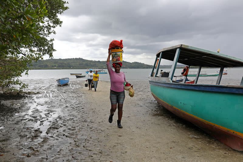 The Wider Image: Black Brazilians in remote 'quilombo' hamlets stand up to be counted