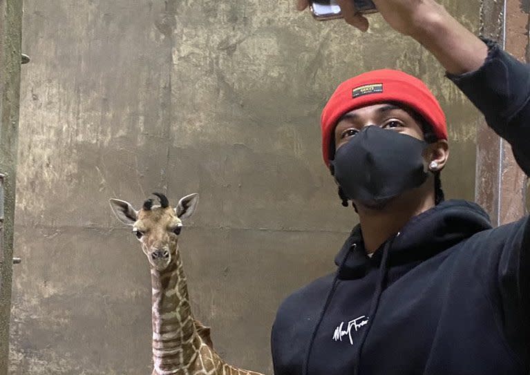 Memphis Grizzlies point guard Ja Morant takes a selfie with Ja Raffe the giraffe at the Memphis Zoo in 2020. (Memphis Zoo/Twitter)
