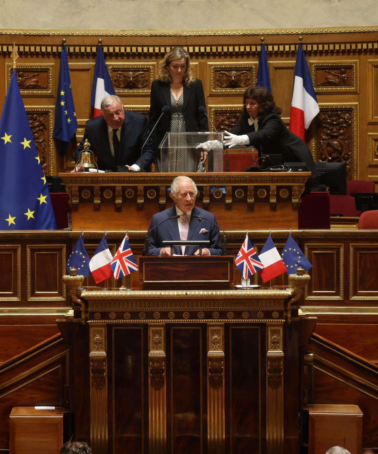 King Charles III addresses parliamentarians in the Senate Chamber, at Luxembourg Palace in Paris (Ian Vogler/Daily Mirror/PA Wire)