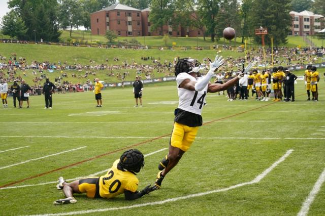 Steelers swap running backs on training-camp roster