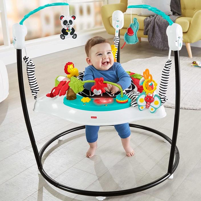 Fisher-Price Animal Wonders Jumperoo