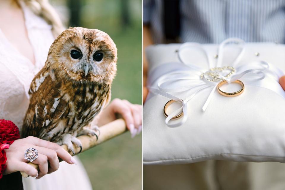 <p>Getty</p> Birds of prey are becoming popular ring bearer options