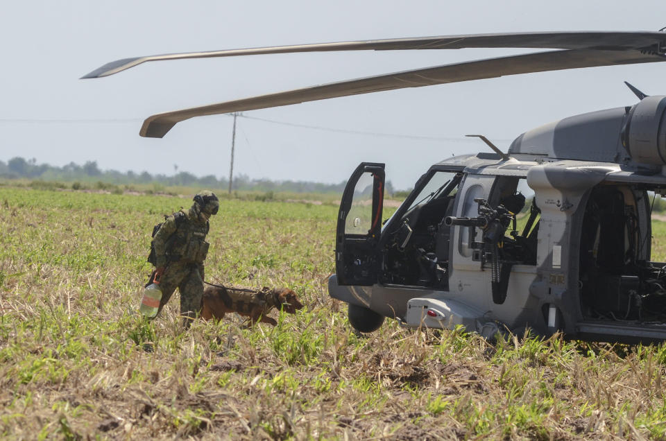 A Mexican marine and "Max", a 6-year-old hound, walk towards a waiting helicopter where a Blackhawk helicopter crashed during the operation supporting the capture of drug lord Rafael Caro Quintero, near Los Mochis, Sinaloa state, Mexico, Friday, July 15, 2022. As Mexican marines closed in on the drug lord deep in the mountains of his native state of Sinaloa, it was “Max” who rousted Caro Quintero from the undergrowth. (AP Photo/Guillermo Juarez)