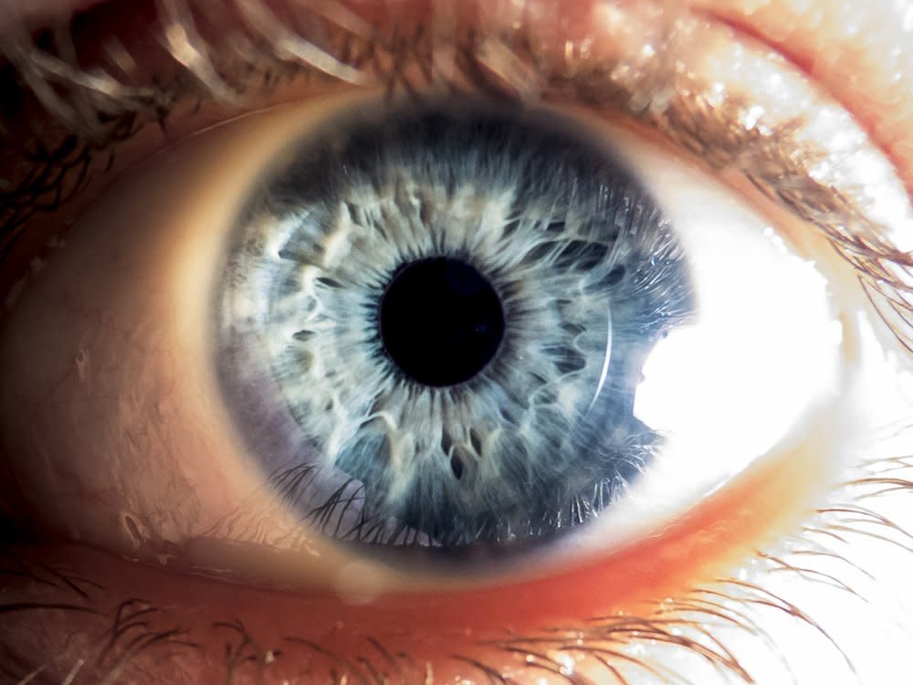 Das menschliche Auge ist Resultat von Millionen von Jahren der Evolution. (Bild: Vic29/Shutterstock.com)