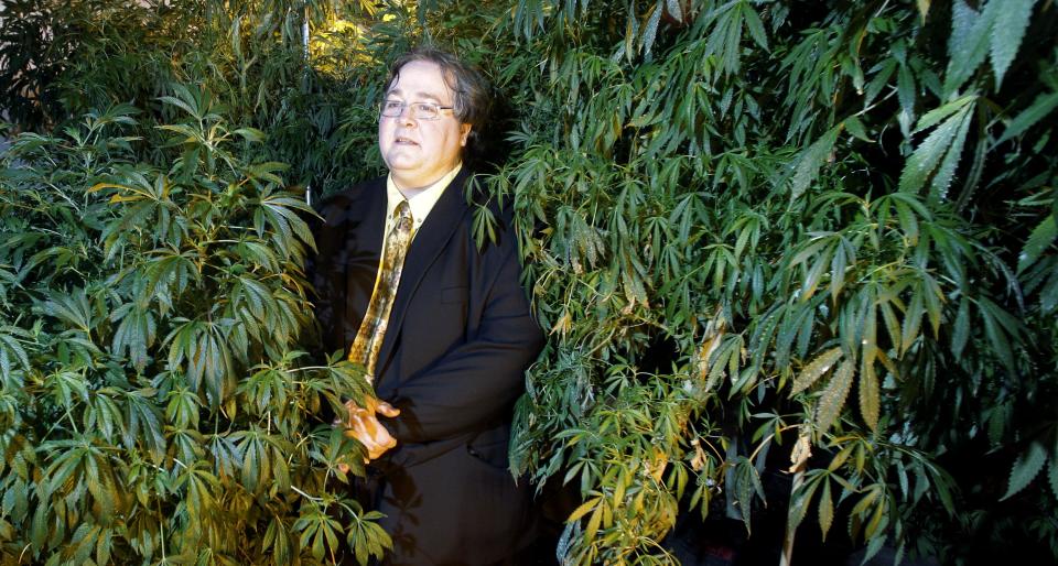 FILE - In this March 28, 2011 file photo, Paul Stanford stands between plants in his marijuana growing facility in Portland, Ore. A well-hyped effort to to legalize marijuana in Oregon has all but fizzled as proponents acknowledge they've been unable to raise raise money. Wealthy donors who have bankrolled similar measures in Washington and Colorado have sat out the campaign in Oregon. (AP Photo/Rick Bowmer)