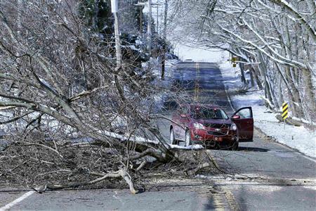 A fallen tree taken down by ice and snow blocks a roadway in Maple Glen, Pennsylvania, February 7, 2014. REUTERS/Tom Mihalek