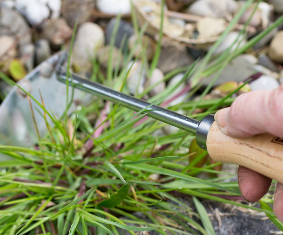 Removing weeds from gravel with a hoe