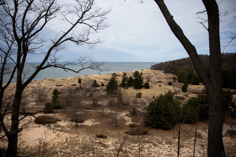 The Rosy Mound Natural Area in March 2022.