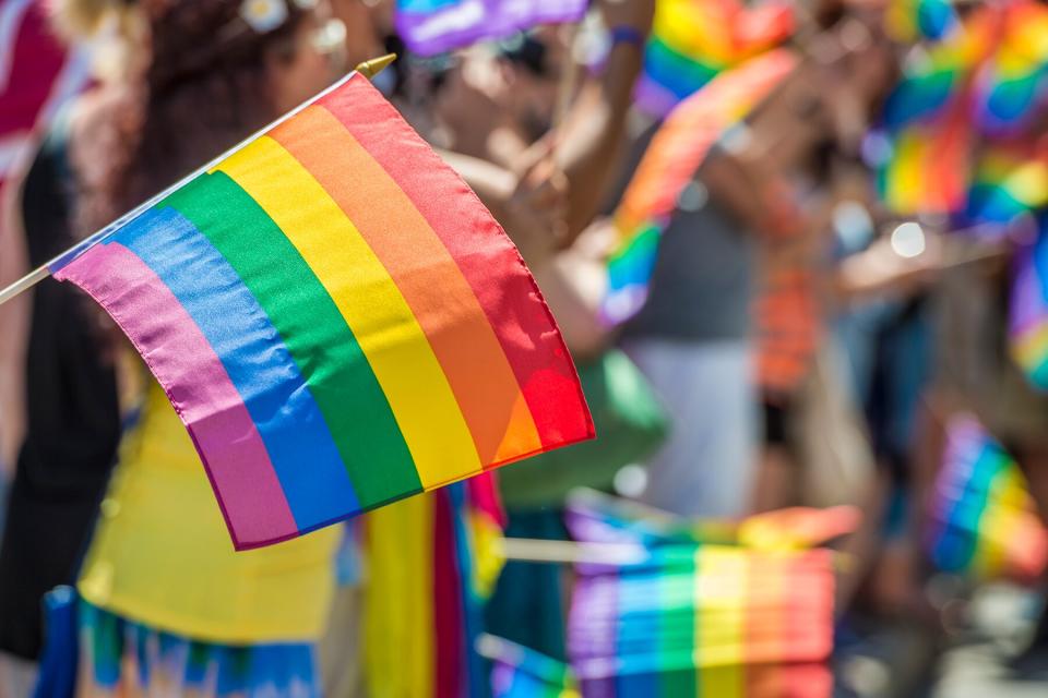 Close-Up Of Rainbow Flag With Crowd In Background During Pride Parade