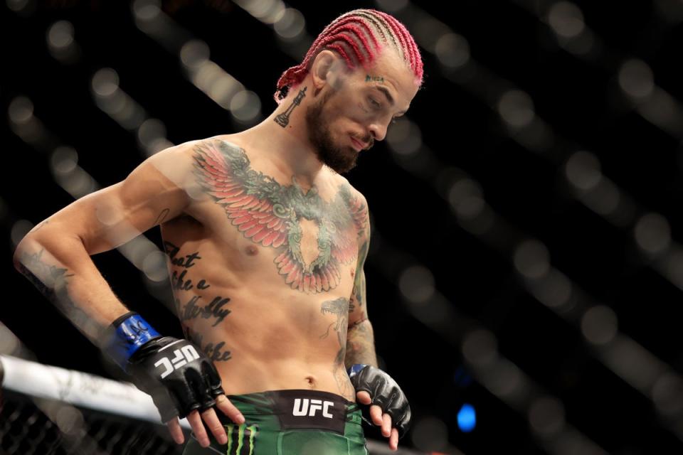 Rising UFC bantamweight star Sean O’Malley (Getty Images)