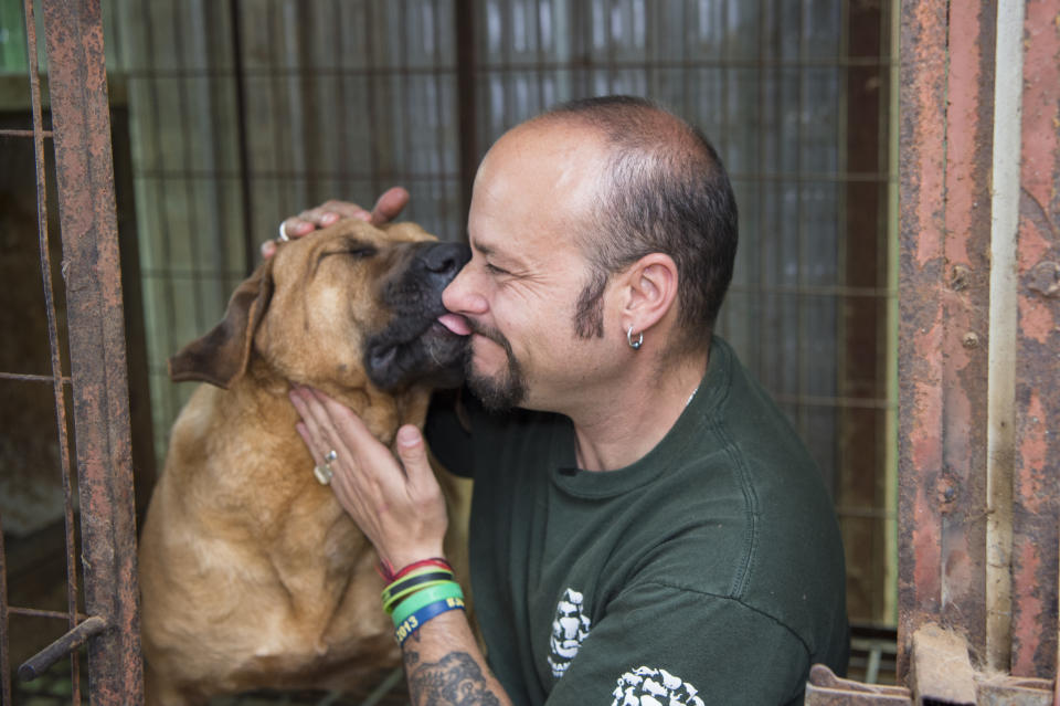 <p>In this image released on Thursday, April 28, 2016, Humane Society International rescuer Adam Parascandola visits one of the dogs at a dog meat farm in Wonju, South Korea. HSI rescued the dogs this week, the fifth such farm that the organization has closed down as part of its campaign to end the dog meat trade. A total of 171 dogs are being flown to shelters and rescues in the United States and Canada for a second chance at life. (Meredith Lee/Humane Society International via AP Images) </p>