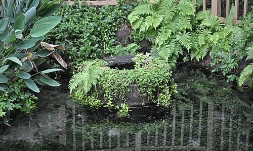 樂風》芝蘭八景之「番井沸泉」