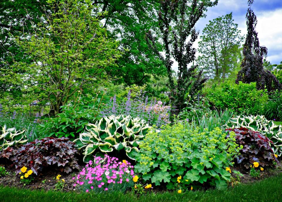 beautiful spring garden plants in may in babylon, long island