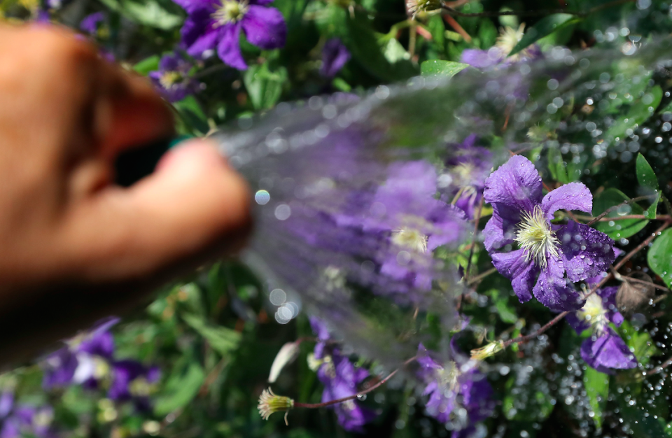 England's first hosepipe ban of the hot summer has been introduced (Picture: PA)