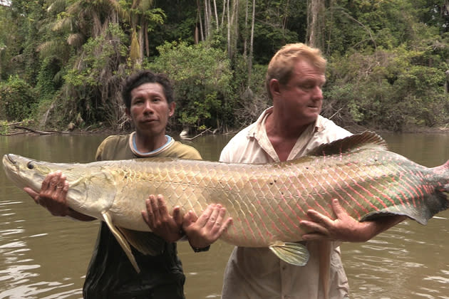 Hier geht ein lebenslanger Traum in Erfüllung: Am Essequibo in Guyana hatte Steve Townson plötzlich einen Arapaima am Haken. Und was für einen!