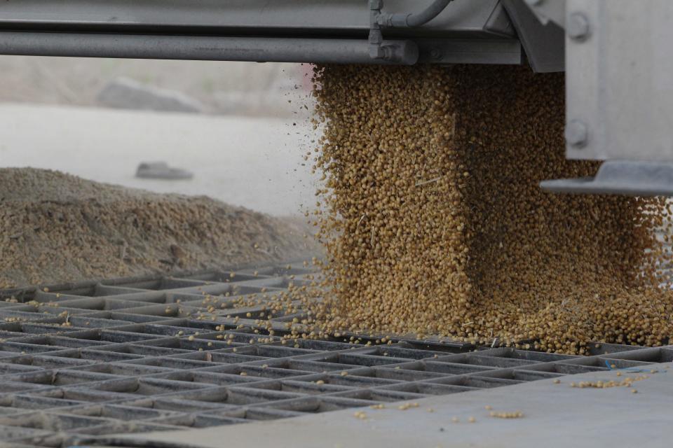 Ukraine needs to export six million tons of grain per month to preserve agriculture as a key sector of the economy (AFP via Getty Images)