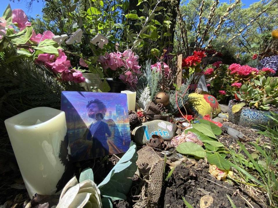 Fresh and wilted flowers adorned a memorial for Karim Abou Najm, at Sycamore Park on April 27, 2024. Najm was killed in April 2023 during a series of stabbings in Davis that rattled the city.