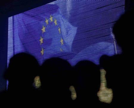 People are silhouetted against a screen showing the European Union flag as they attend a rally in support of euro integration in central Kiev November 22, 2013. REUTERS/Gleb Garanich