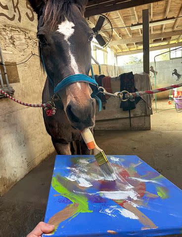 <p>Erika Tully</p> Blue the painting horse