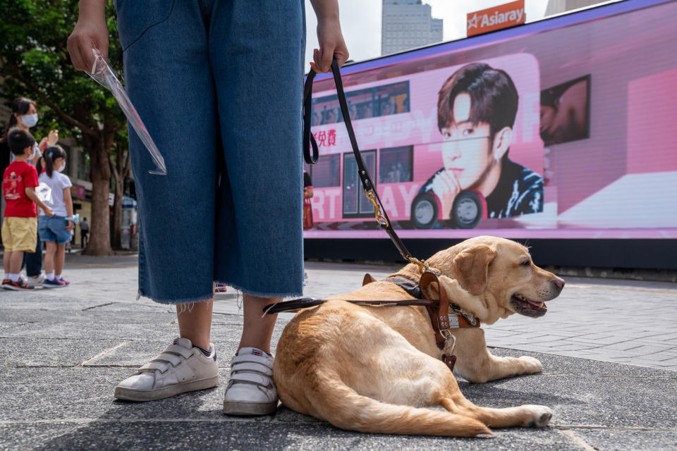 導盲犬Delta每次在街上看見Anson Lo的大型廣告，也會笑逐顏開。
