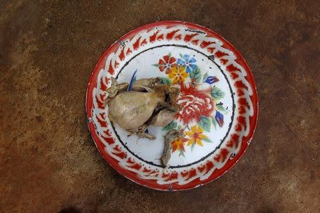 A plate with a tiger's food is seen at the Tigers Temple in Kanchanaburi province, west of Bangkok, Thailand, February 25, 2016. REUTERS/Chaiwat Subprasom