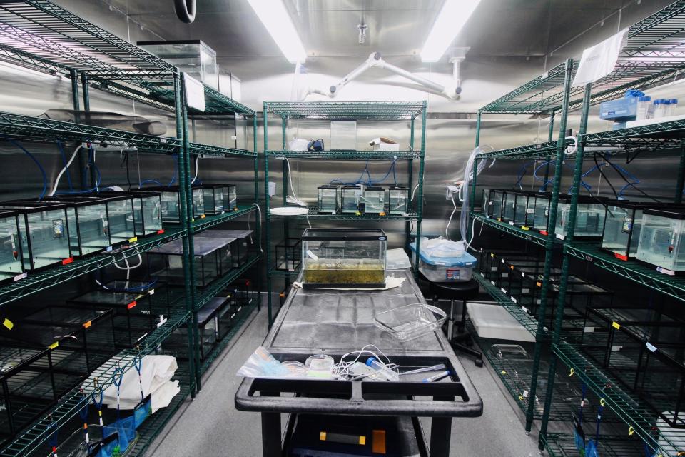 Laboratoire expérimental avec des aquariums