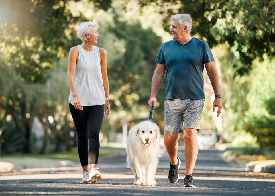 Senior couple on walk with a dog.