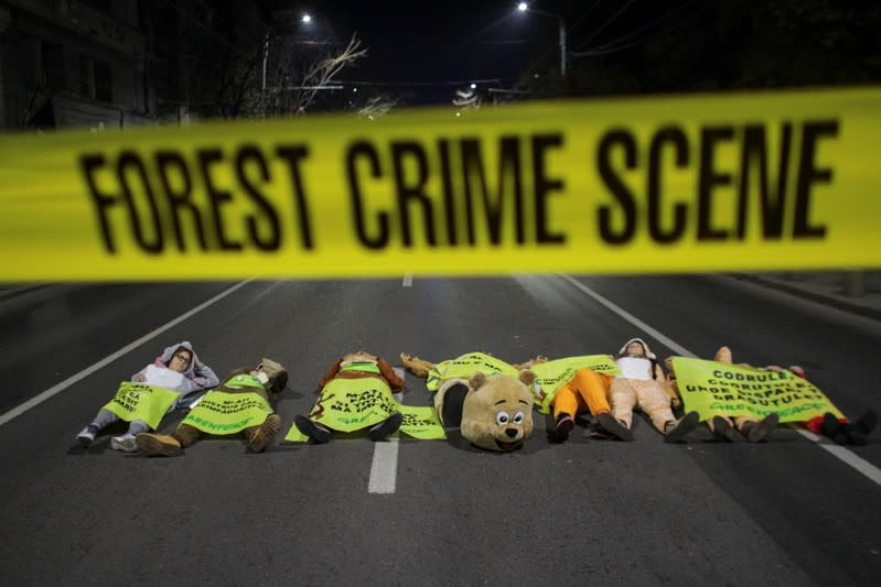 Activists in animal costumes lie on the road during a protest against widespread illegal logging and lack of policy response that has left two foresters dead earlier this year