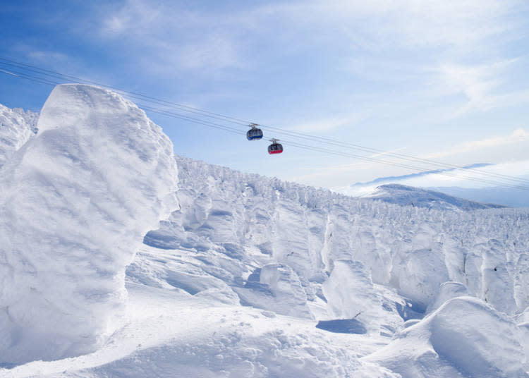 有雪中怪獸之稱的藏王樹冰，最佳觀賞期時約在2月