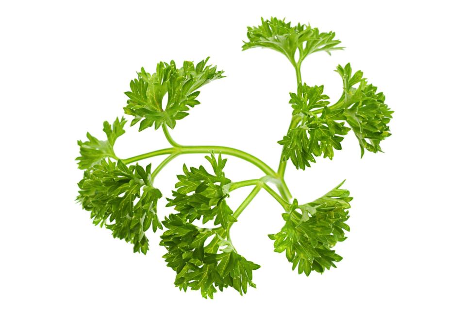 You know where they used to serve curly parsley all the time? The Holiday Inn. You know where they serve it now? Hell.