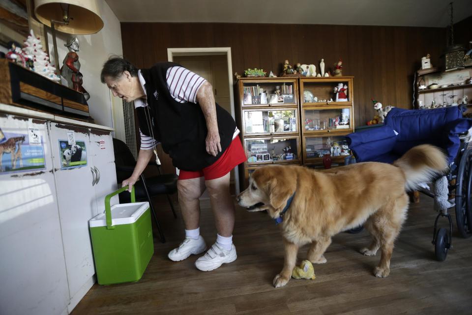 In this Dec. 10, 2013 image, Sherry Scott moves a cooler holding her Meals on Wheels as her 10-year-old golden retriever Tootie looks on at her home in San Diego. Scott, who receives dog food for Tootie through the Animeals program, said she would give her lasagne and pork riblets from Meals on Wheels to Tootie if MOW didn't bring dog food for the dog. The pet food program is sponsored by the Helen Woodward Animal Center. (AP Photo/Gregory Bull)