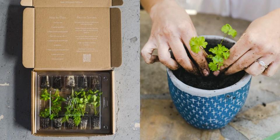 These Gardening Subscription Boxes Send Seeds and Plants Straight to Your Door