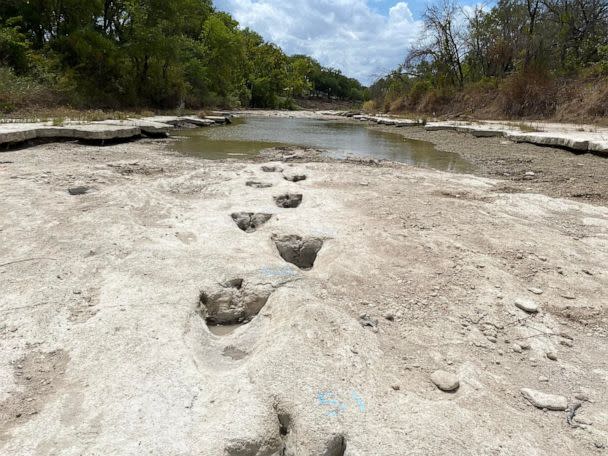 PHOTO: Dinosaur tracks from around 113 million years ago, discovered in the Texas State Park after severe drought conditions that dried up a river, Aug. 23, 2022. (Dinosaur Valley State Park via AFP/Getty Images)