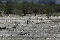 In this Oct. 23, 2018, photo, a man walks across a dry river bed in Fatukoko village in West Timor, Indonesia. The region is one of the driest parts of Indonesia, making farming difficult. Many villagers thus migrate to neighboring Malaysia in search of work. (AP Photo/Tatan Syuflana)