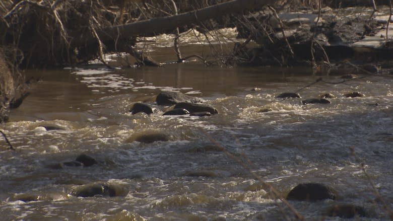 Mill Creek water quality ranks lowest of 10 urban Alberta creeks