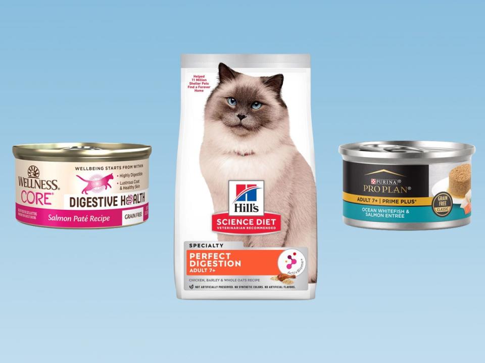 Two cans and a bag of cat food from Purina, Wellness, and Hill’s against a blue gradient background.