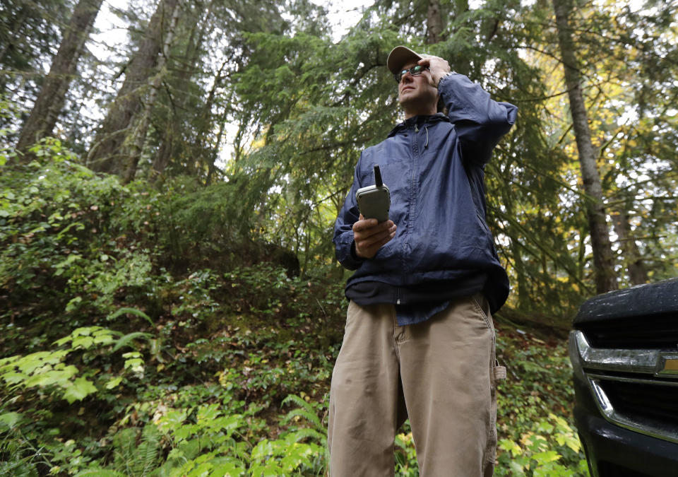 In this Oct. 23, 2018 photo, Dave Wiens, a biologist who works for the U.S. Geological Survey, stands in a forest near Corvallis, Ore., as he uses a remote control to trigger a digital bird calling device intended to attract barred owls to be culled. “It’s a little distasteful, I think, to go out killing owls to save another owl species,” said Wiens, who still views each shooting as “gut-wrenching” as the first. “Nonetheless, I also feel like from a conservation standpoint, our back was up against the wall. We knew that barred owls were outcompeting spotted owls and their populations were going haywire.” (AP Photo/Ted S. Warren)